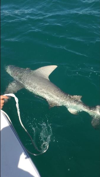 Fall Fishing in the Florida Keys